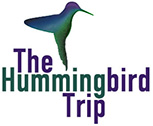 The Humming Bird Trip